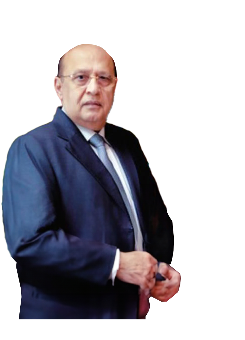 Synergy Advanced Metals Limited story